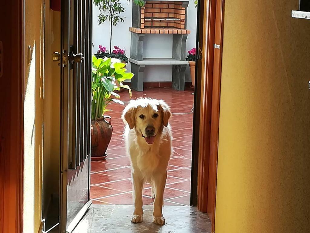 Alía Casa Rural La Herencia المظهر الخارجي الصورة